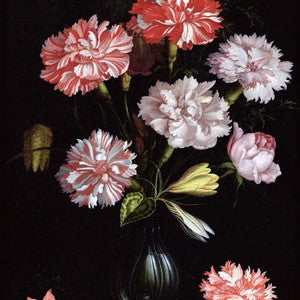 Balthasar van der Ast - Floral Study Carnations in a Vase